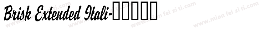 Brisk Extended Itali字体转换